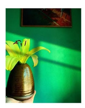 Hoa lily tại TIỆM NHÀ MẦM — chạm vào thiên nhiên